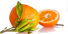 Эфирное масло Апельсин (Orange) Египет
